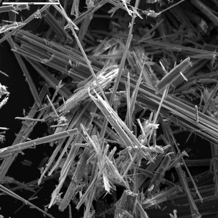 Asbestos fibers